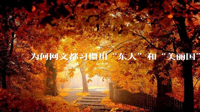 为何网文都习惯用“东大”和“美丽国”替代中国和美国？