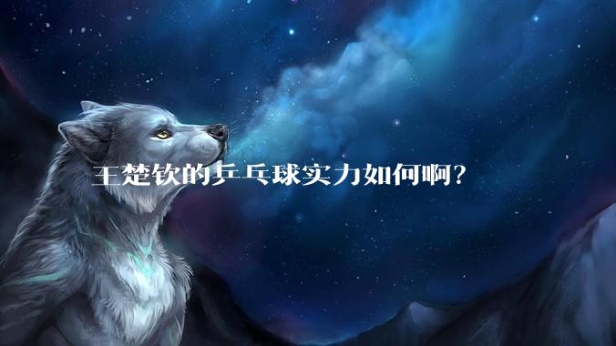 王楚钦的乒乓球实力如何啊？