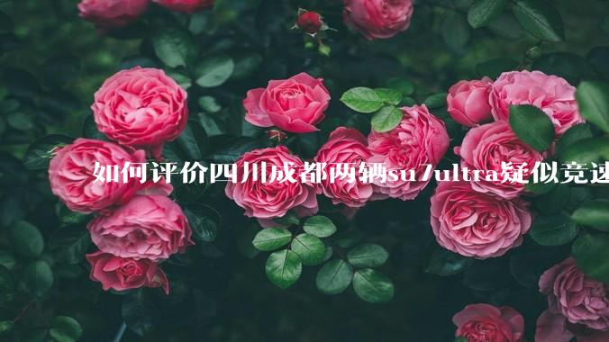 如何评价四川成都两辆su7ultra疑似竞速，导致严重事故？